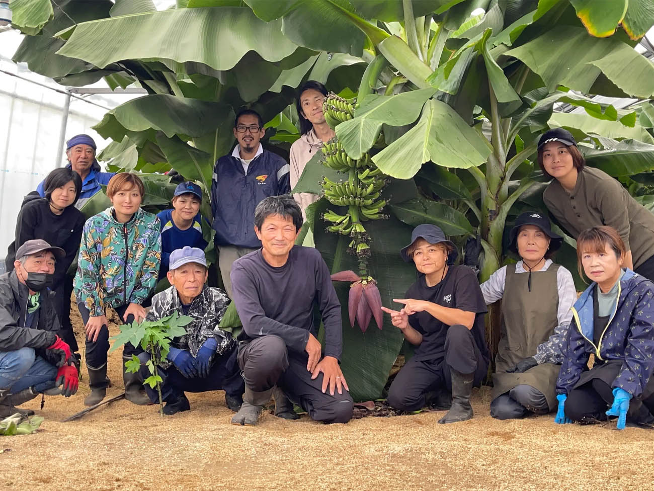 私たちの活動画像