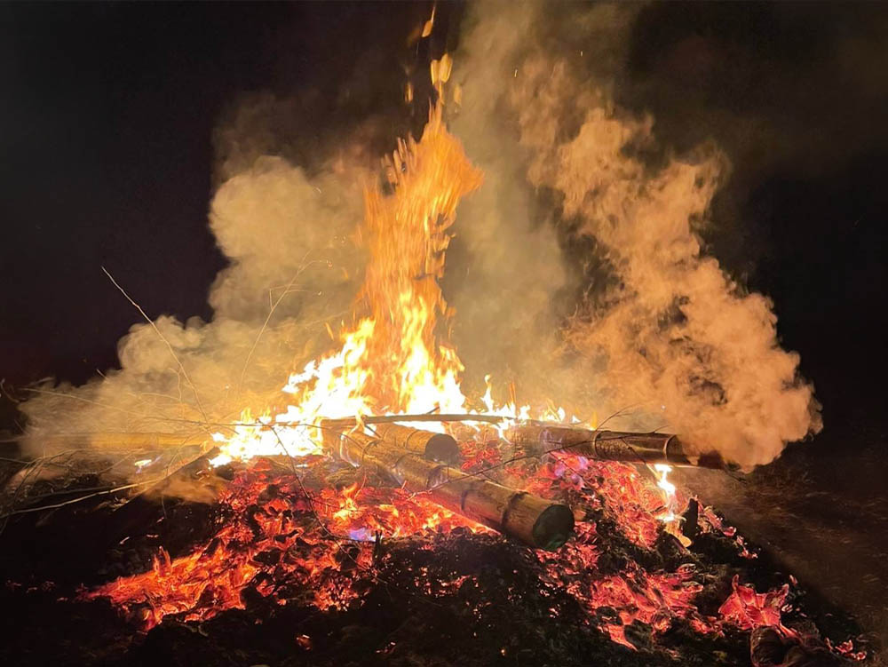 私たちの活動画像